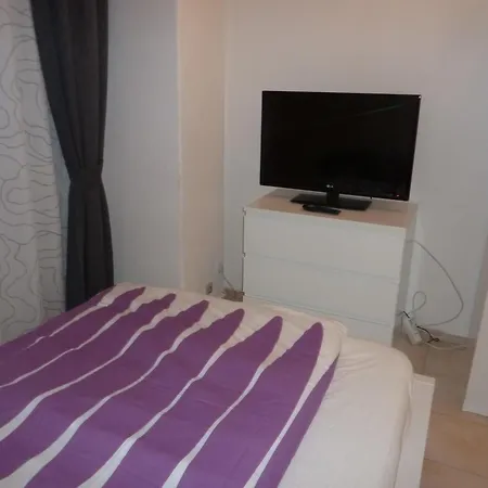 宾馆 瑞拉克斯酒店 2*