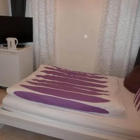 宾馆 瑞拉克斯酒店 2*