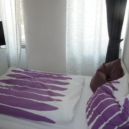 宾馆 瑞拉克斯酒店 2*